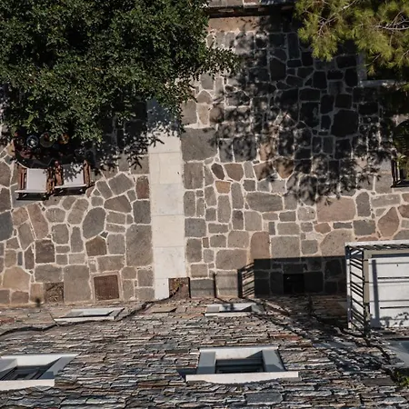 Zos Apartment
