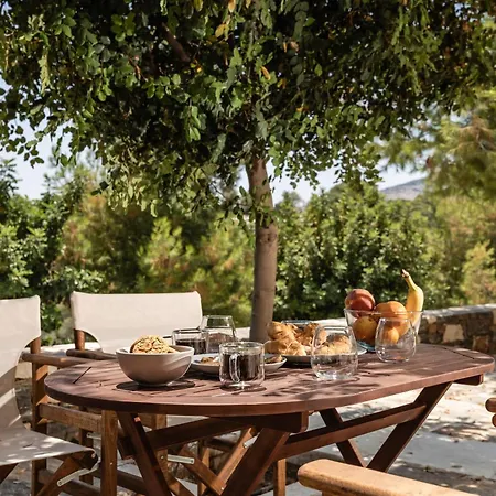 Apartment Zos Kanaki