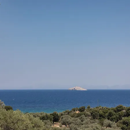 Zos Apartament